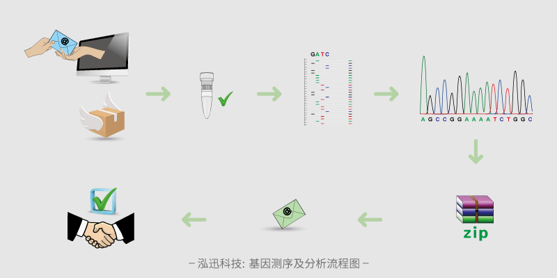 基因测序及分析流程图