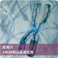 crispri/a及其应用