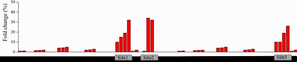 knockout-site-analysis