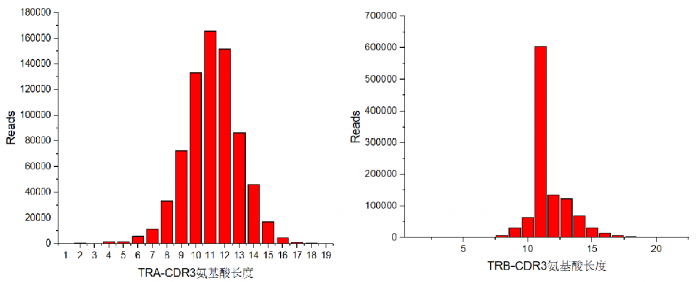 CDR3 区域长度分析