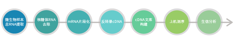 技术路线