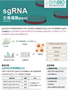 sgRNA文库细胞pool